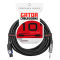 10 Foot TS to Twist Lock Connector Speaker Cable