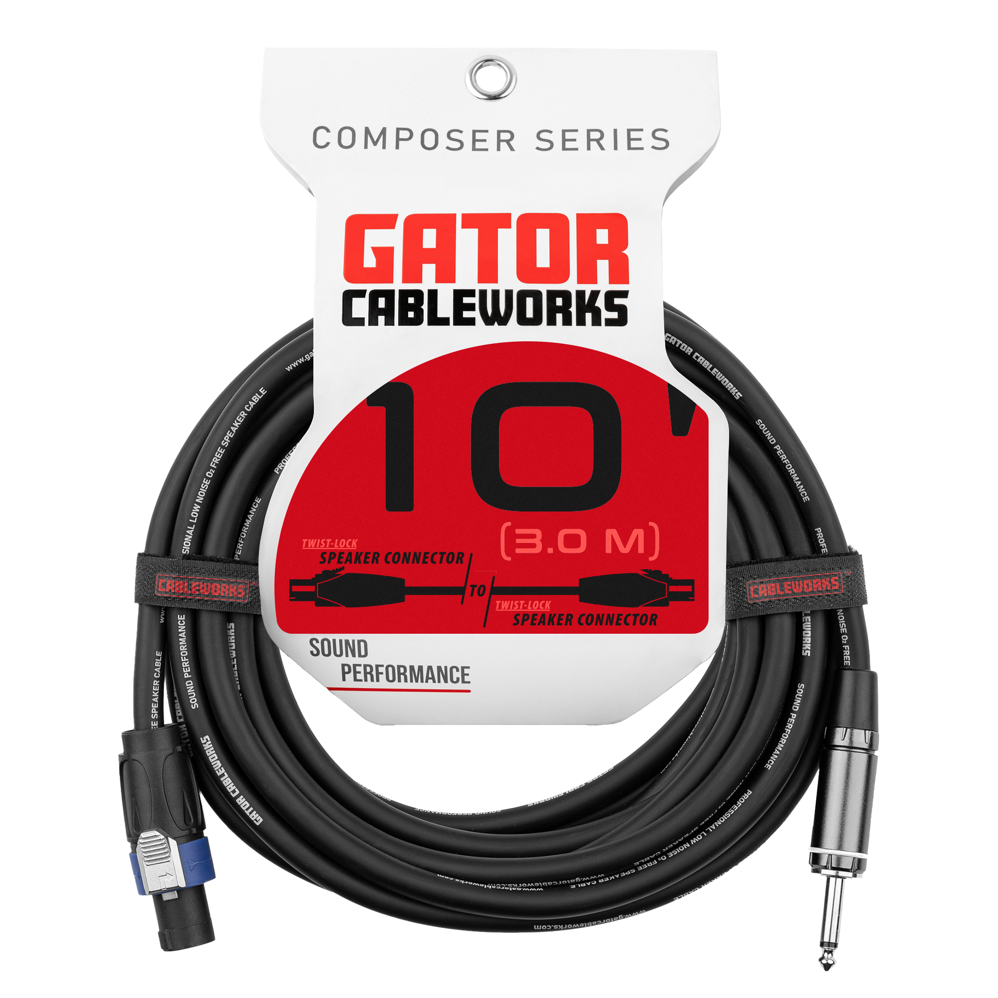 10 Foot TS to Twist Lock Connector Speaker Cable