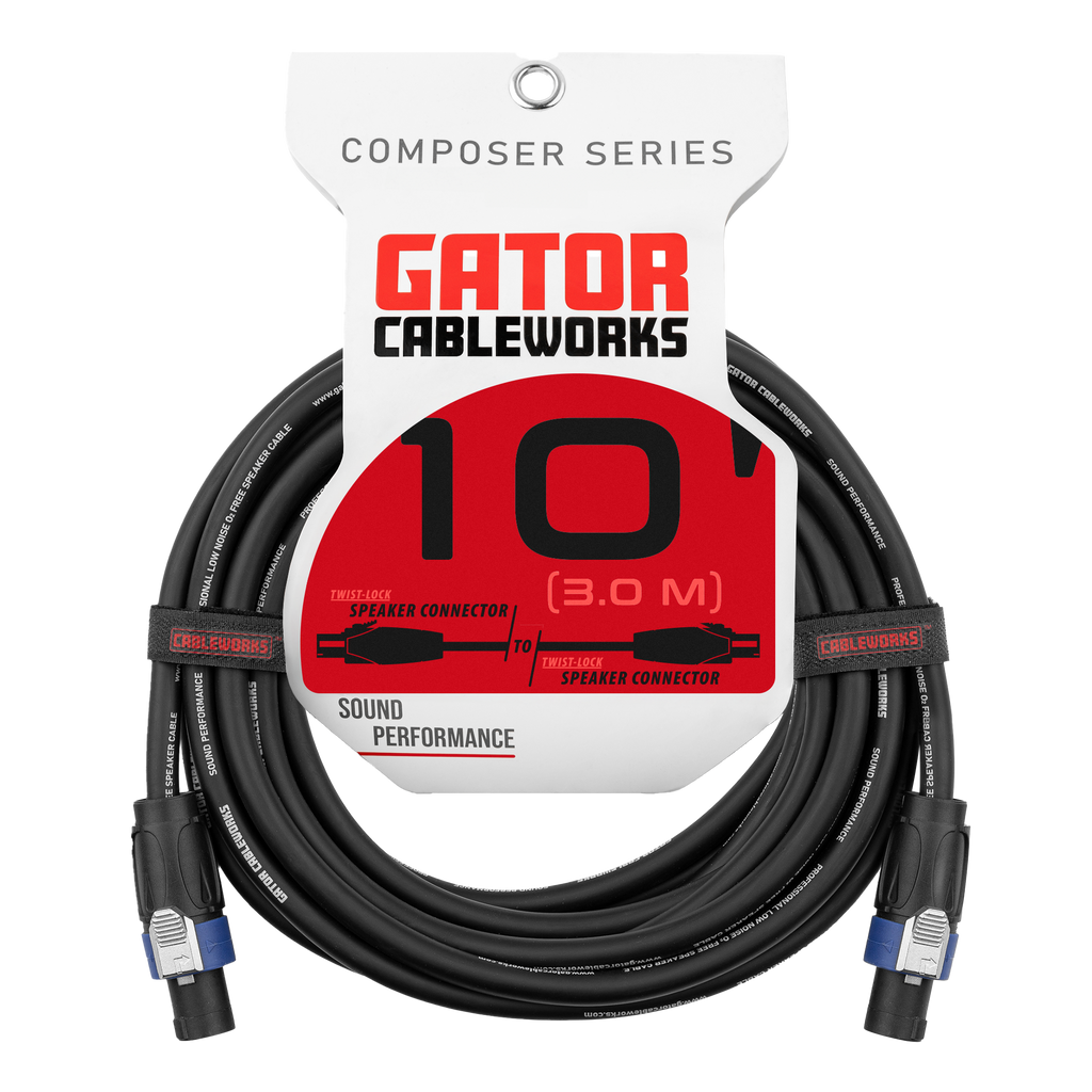 10 Foot TS to Twist Lock Connector Speaker Cable