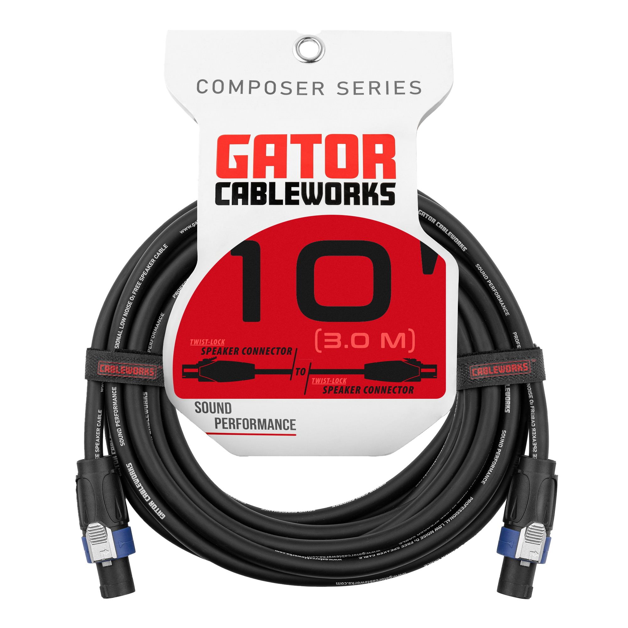 10 Foot TS to Twist Lock Connector Speaker Cable