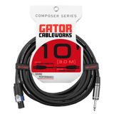 10 Foot TS to Twist Lock Connector Speaker Cable