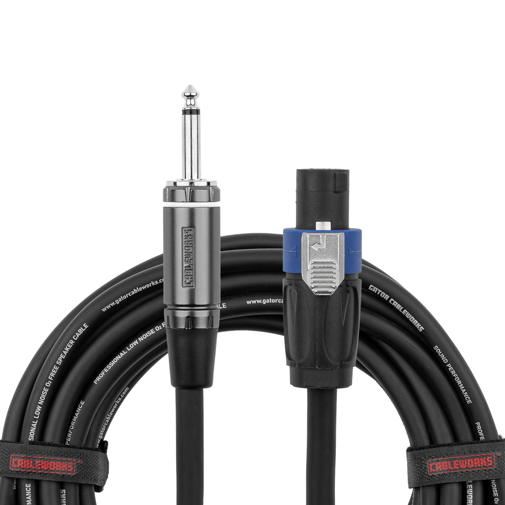 10 Foot TS to Twist Lock Connector Speaker Cable