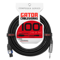 100 Foot TS to Twist Lock Connector Speaker Cable