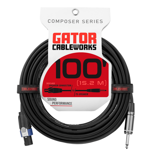 100 Foot TS to Twist Lock Connector Speaker Cable