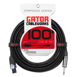 100 Foot TS to Twist Lock Connector Speaker Cable