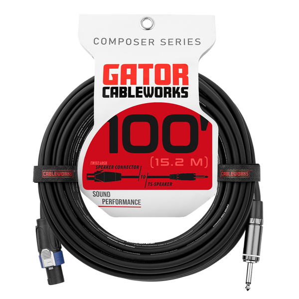 100 Foot TS to Twist Lock Connector Speaker Cable