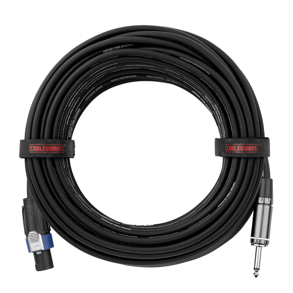 100 Foot TS to Twist Lock Connector Speaker Cable