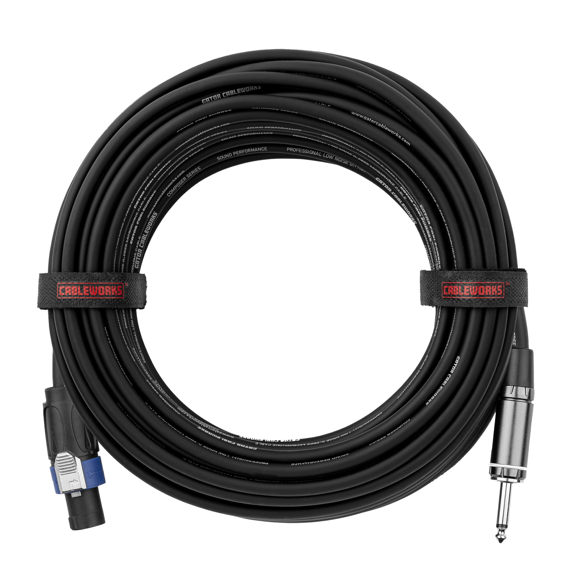 100 Foot TS to Twist Lock Connector Speaker Cable