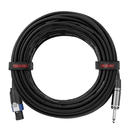 100 Foot TS to Twist Lock Connector Speaker Cable