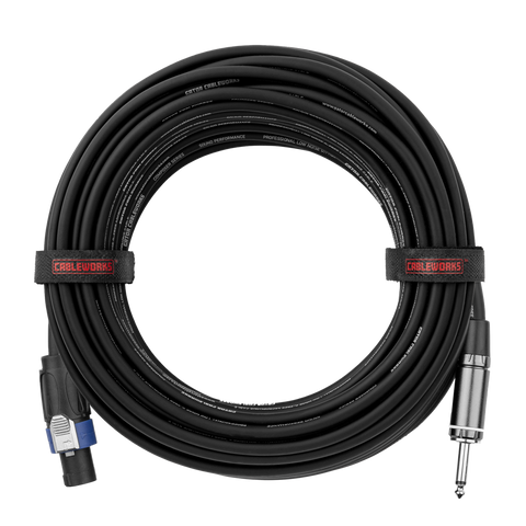 100 Foot TS to Twist Lock Connector Speaker Cable