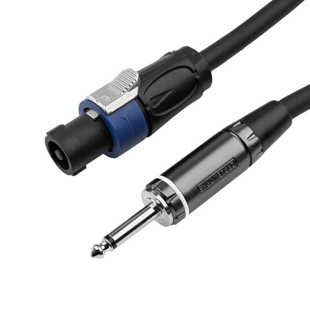 100 Foot TS to Twist Lock Connector Speaker Cable