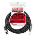 25 Foot TS to Twist Lock Connector Speaker Cable
