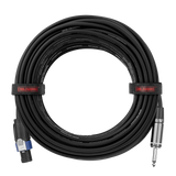 50 Foot TS to Twist Lock Connector Speaker Cable