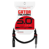 5 Foot XLR M to TRS Cable