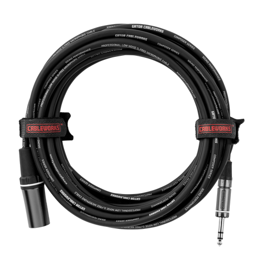 10 Foot XLR M to TRS Cable