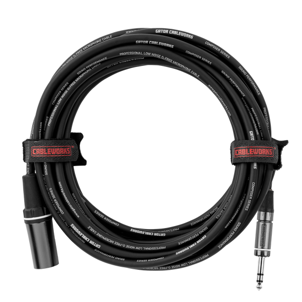 10 Foot XLR M to TRS Cable