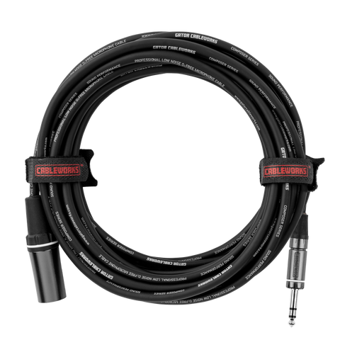 10 Foot XLR M to TRS Cable