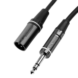 10 Foot XLR M to TRS Cable