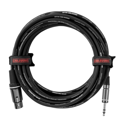 20 Foot XLR F to TRS Cable