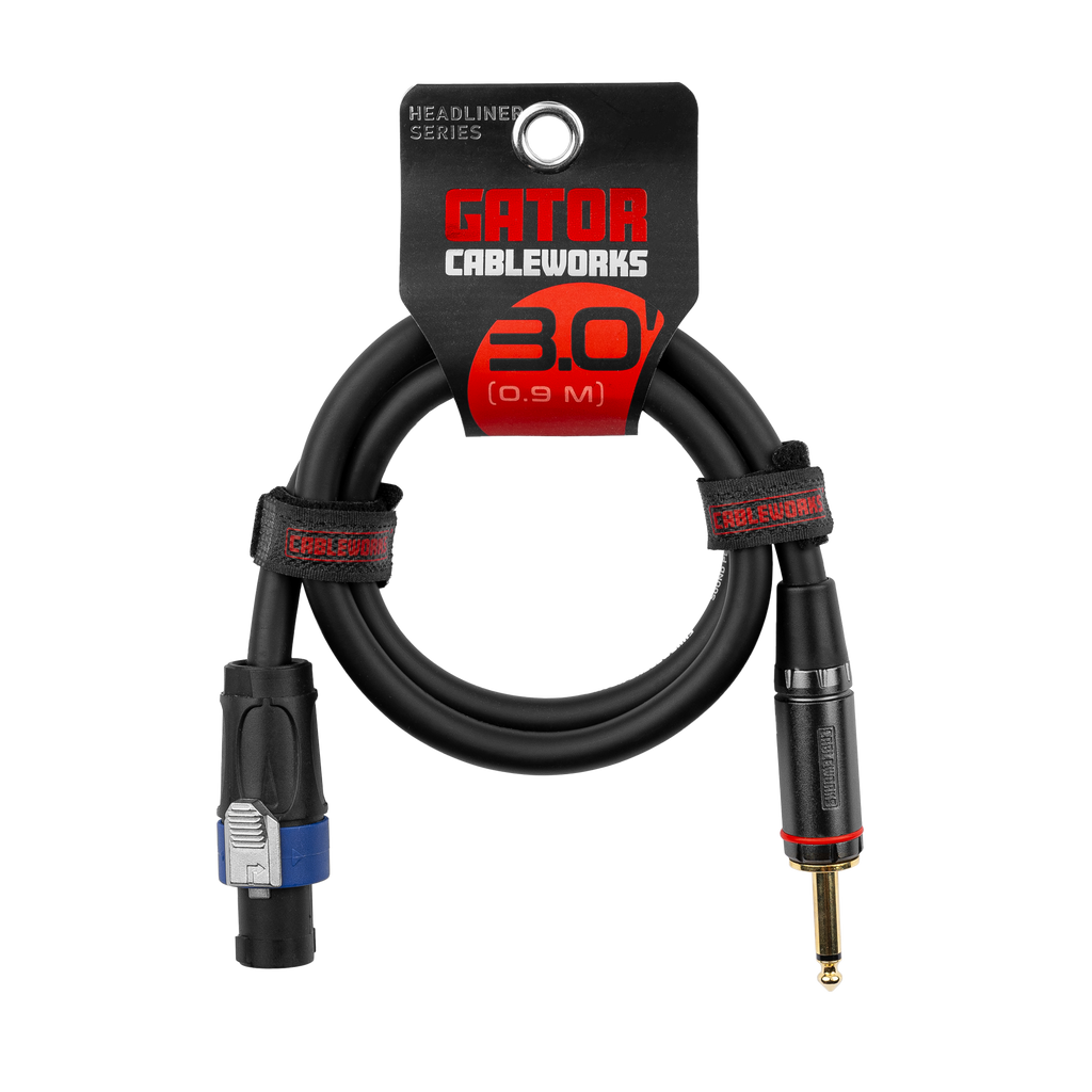 3 Foot TS to Twist Lock Connector Speaker Cable