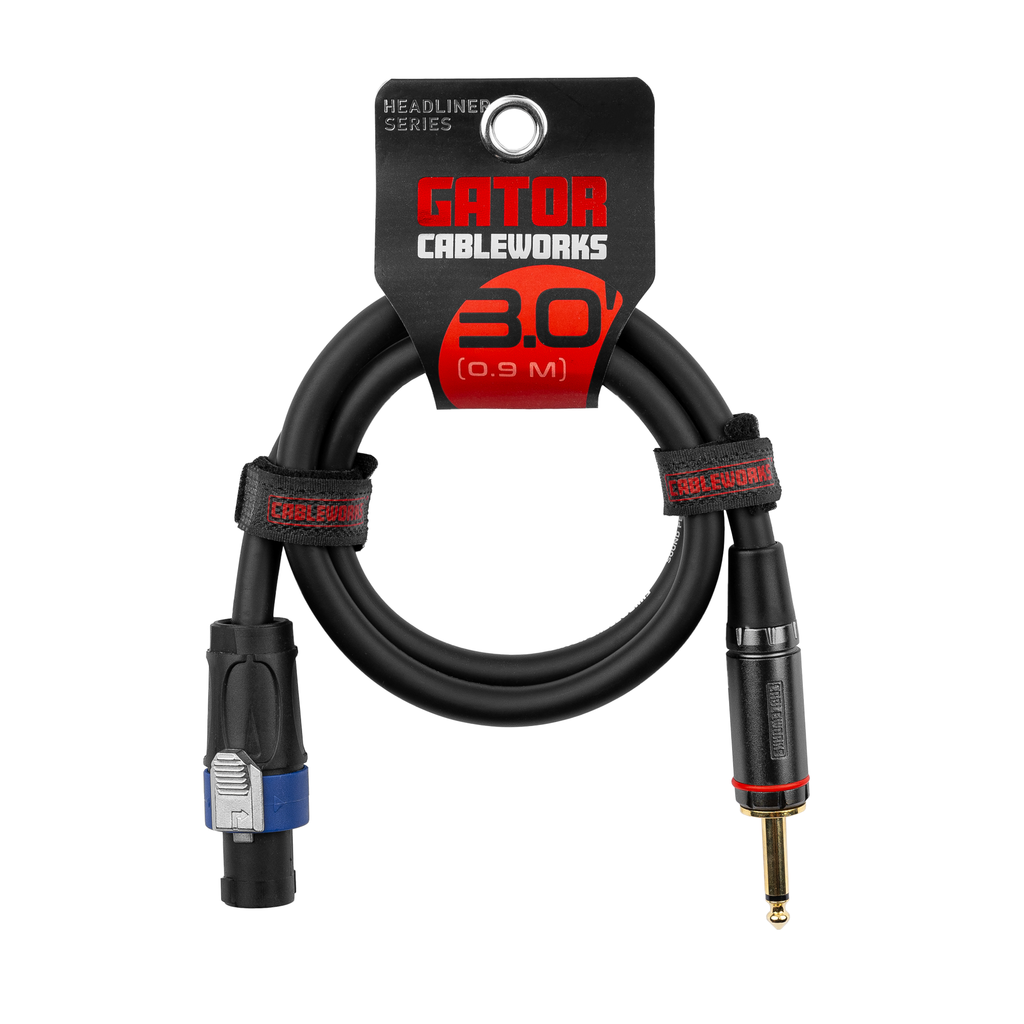 3 Foot TS to Twist Lock Connector Speaker Cable