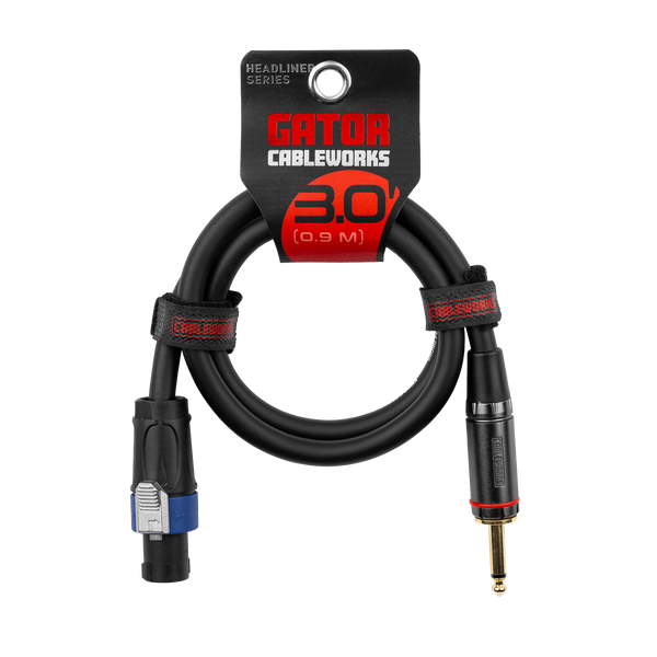 3 Foot TS to Twist Lock Connector Speaker Cable