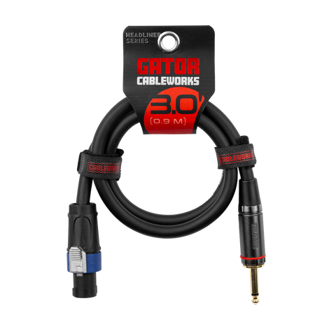 3 Foot TS to Twist Lock Connector Speaker Cable