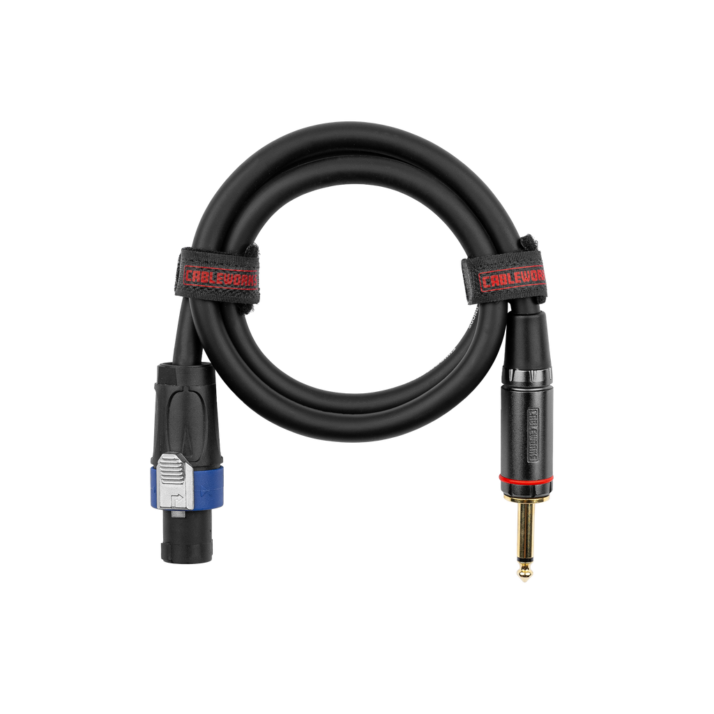 3 Foot TS to Twist Lock Connector Speaker Cable