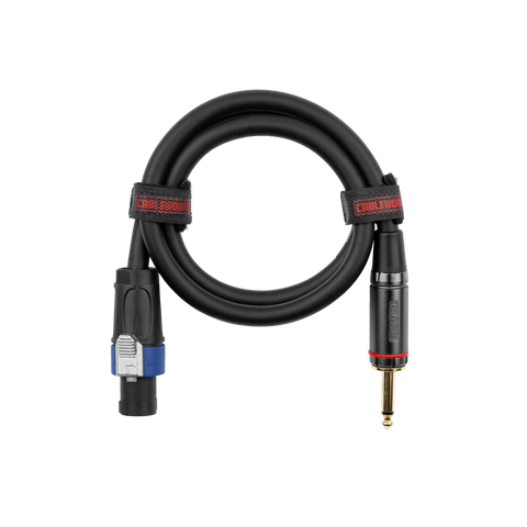 3 Foot TS to Twist Lock Connector Speaker Cable
