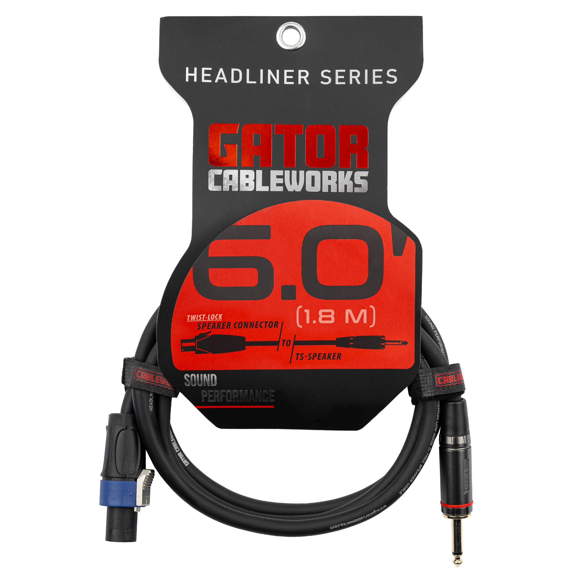 6 Foot TS to Twist Lock Connector Speaker Cable
