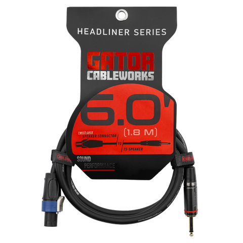 6 Foot TS to Twist Lock Connector Speaker Cable