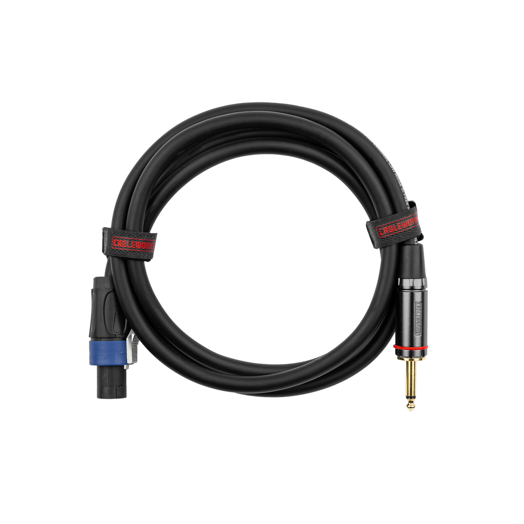 6 Foot TS to Twist Lock Connector Speaker Cable