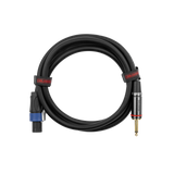 6 Foot TS to Twist Lock Connector Speaker Cable