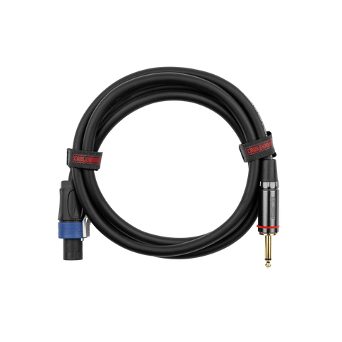 6 Foot TS to Twist Lock Connector Speaker Cable