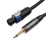 6 Foot TS to Twist Lock Connector Speaker Cable