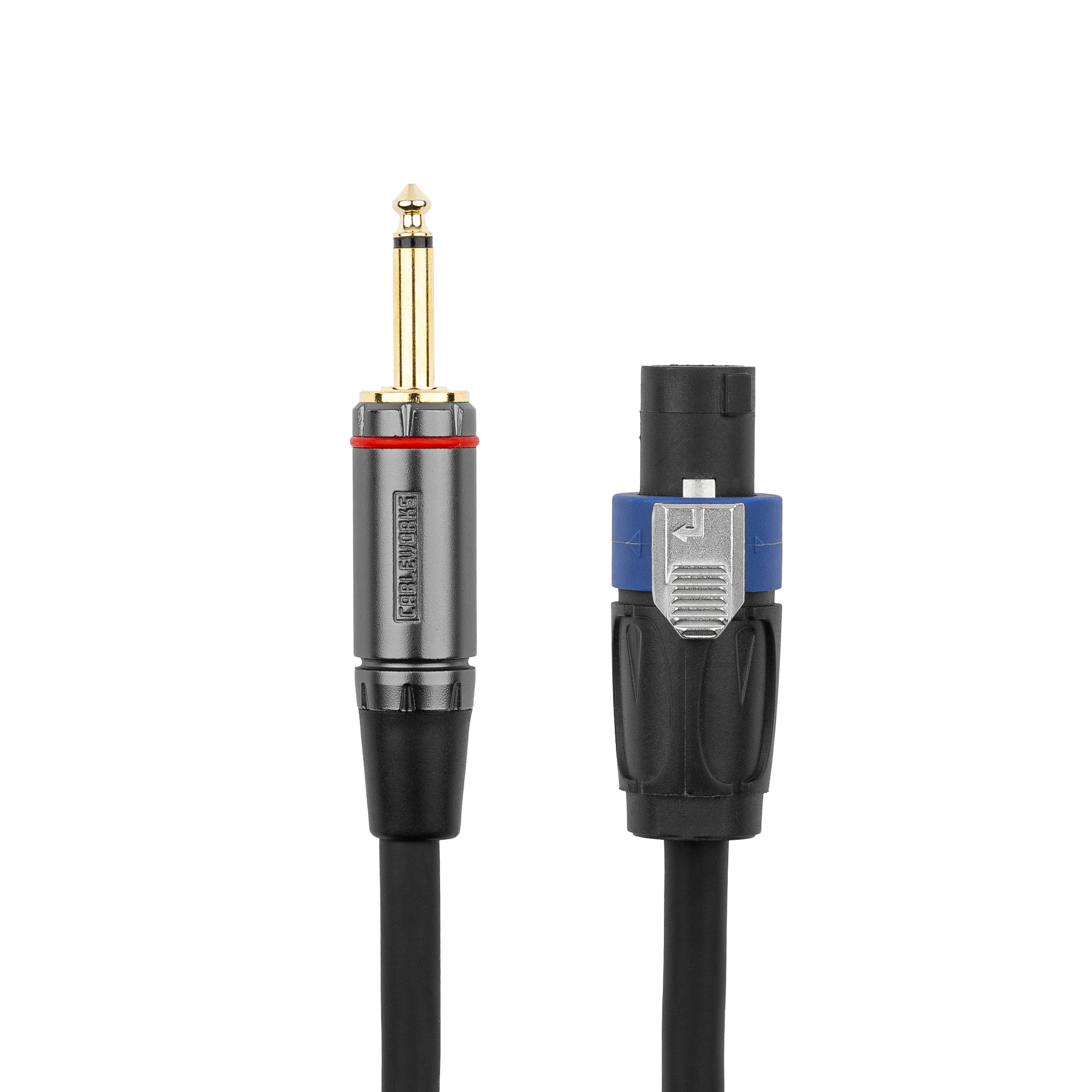 6 Foot TS to Twist Lock Connector Speaker Cable