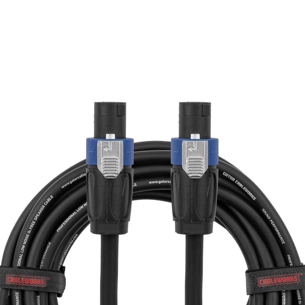 6 Foot Twist Lock Connector Speaker Cable