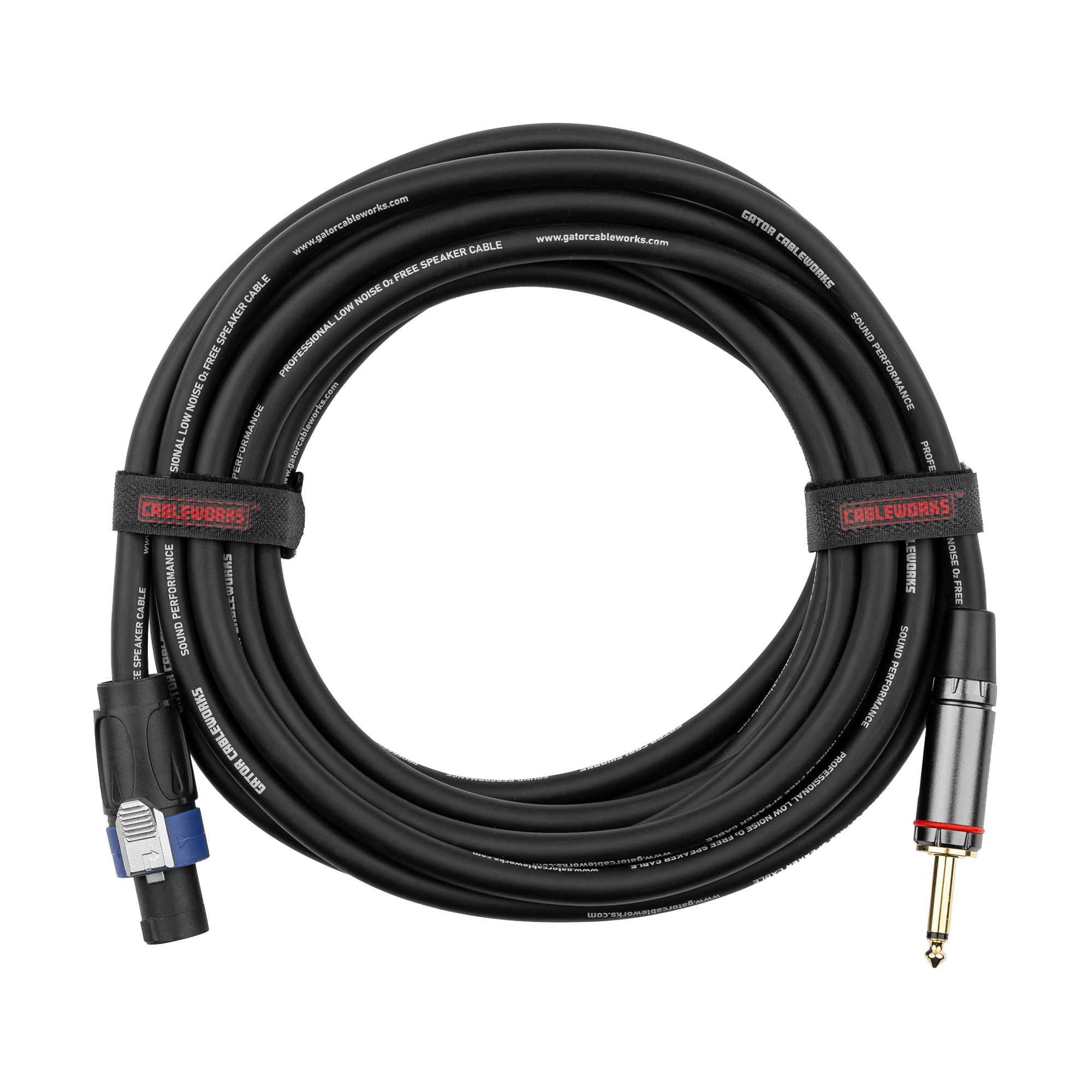 10 Foot TS to Twist Lock Connector Speaker Cable