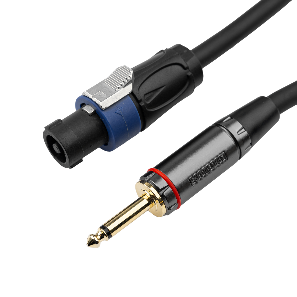 10 Foot TS to Twist Lock Connector Speaker Cable