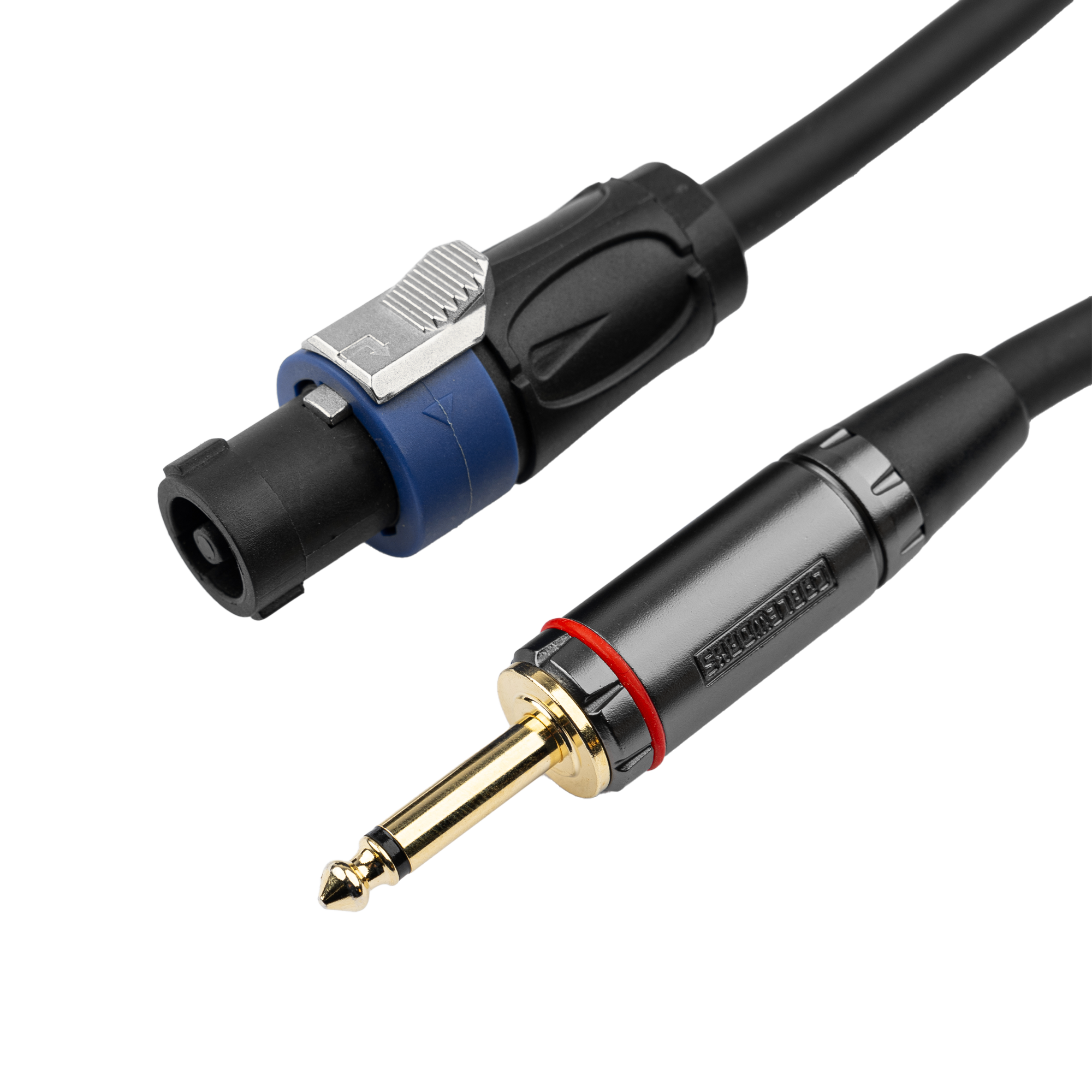 10 Foot TS to Twist Lock Connector Speaker Cable