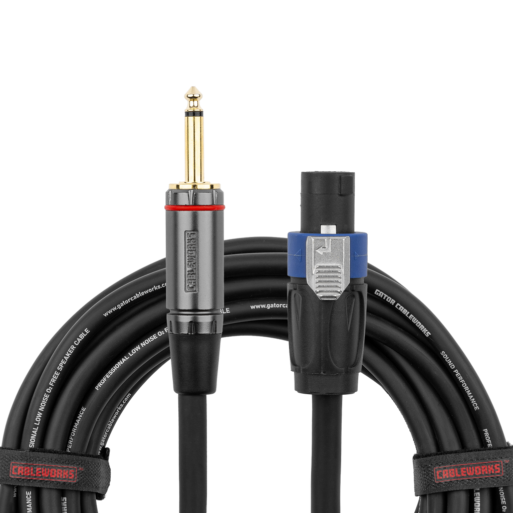 10 Foot TS to Twist Lock Connector Speaker Cable