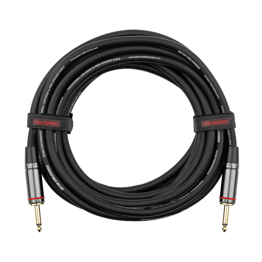 10 Foot TS Speaker Cable - Headliner