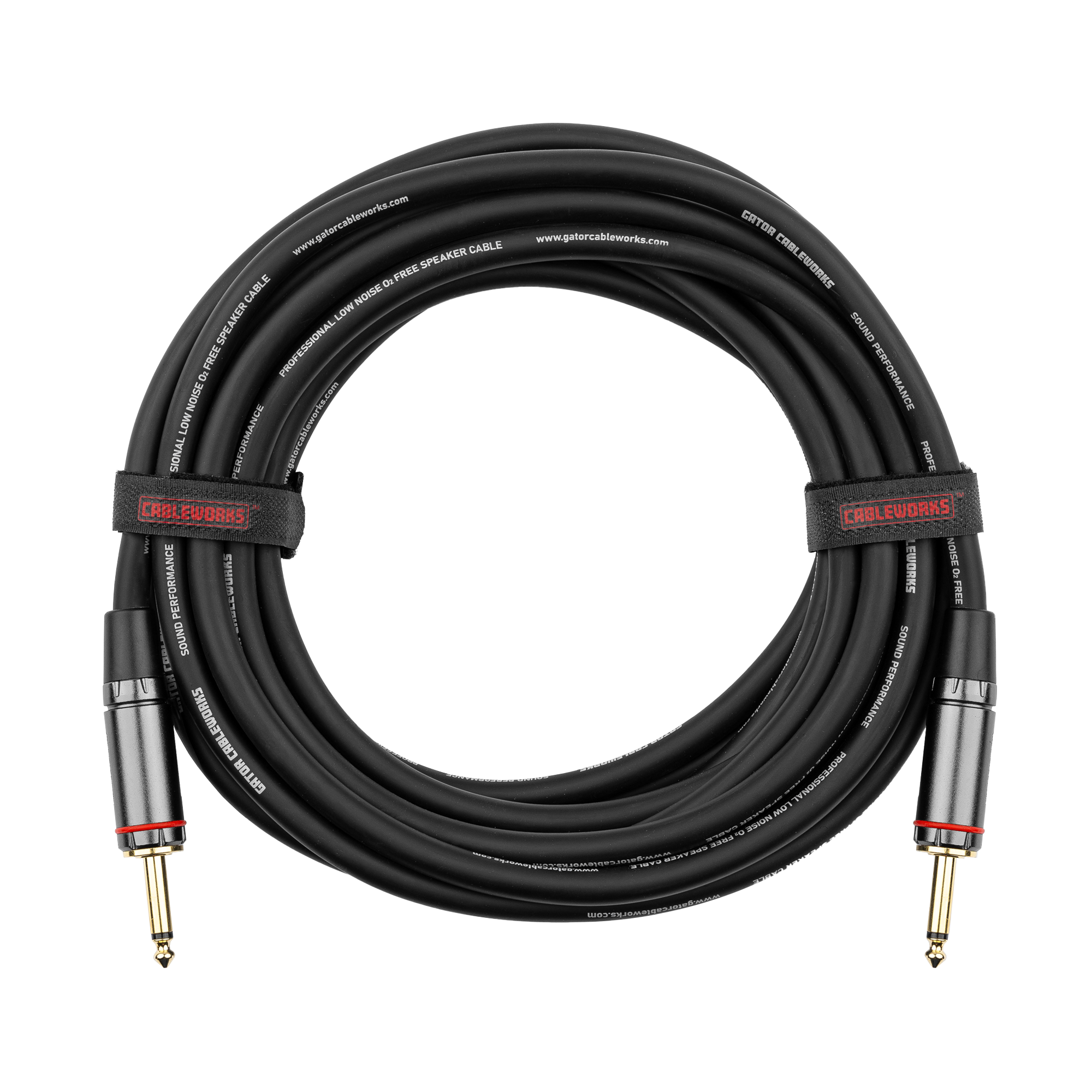 10 Foot TS Speaker Cable - Headliner