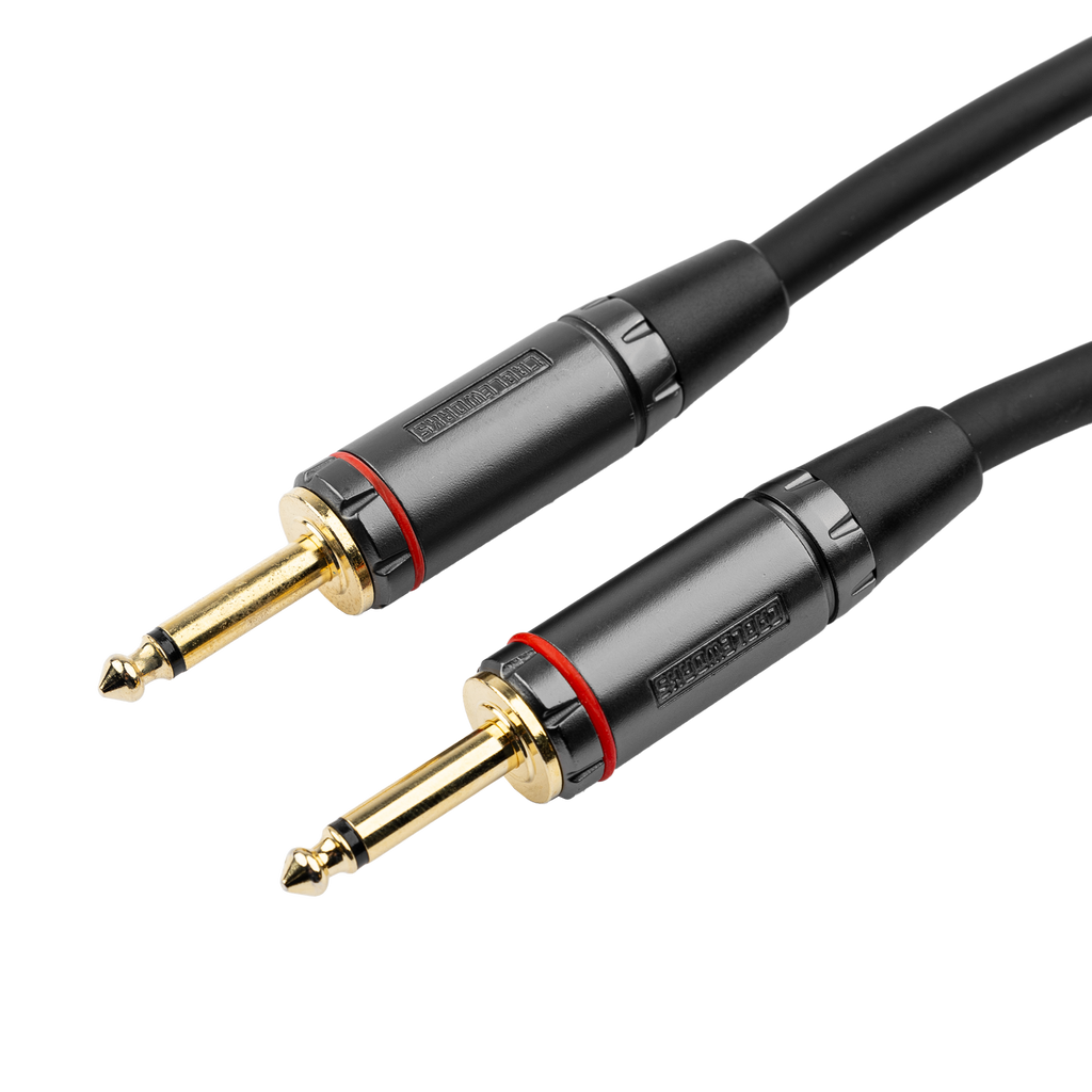 10 Foot TS Speaker Cable - Headliner