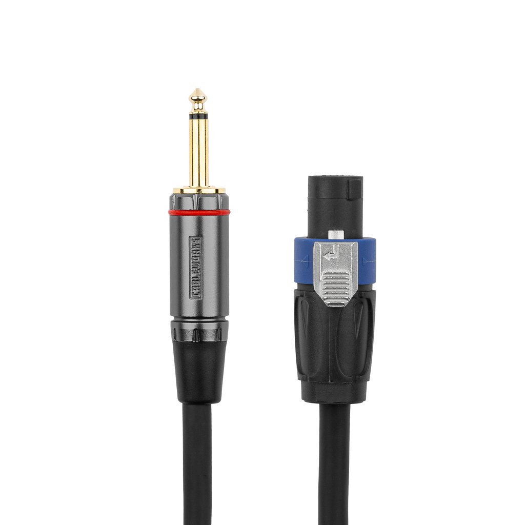 25 Foot TS to Twist Lock Connector Speaker Cable