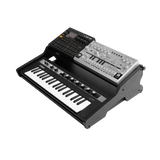 Frameworks Synth Oasis 32, Black