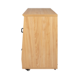 Frameworks Elite Angled Studio Rack - 12U MPL