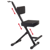 Deluxe Guitar Seat