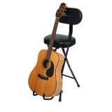 Guitar Seat/Stand Combo