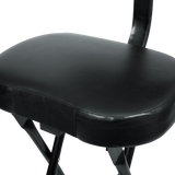 Guitar Seat/Stand Combo